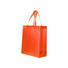 SAC SHOPPING EN NON-TISSE LAMINE-Sacs-Sac shopping